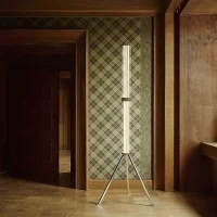 Flos Super Wire F lampada da terra