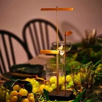 DCW Knokke battery lamp DCW Knokke battery lamp