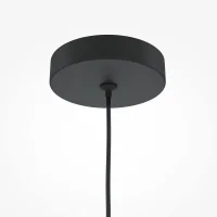 Maytoni Pro Focus lampada a sospensione