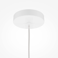 Maytoni Pro Focus suspension lamp