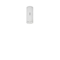 Artemide Calumet outdoor ceiling spotlight Artemide Calumet outdoor ceiling spotlight
