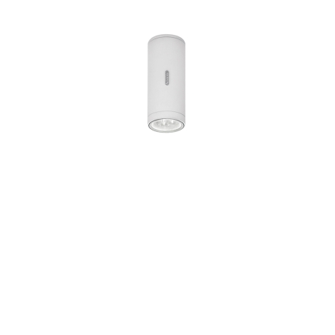 Artemide Calumet outdoor ceiling spotlight