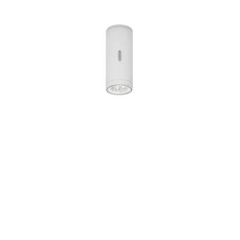 Artemide Calumet outdoor ceiling spotlight