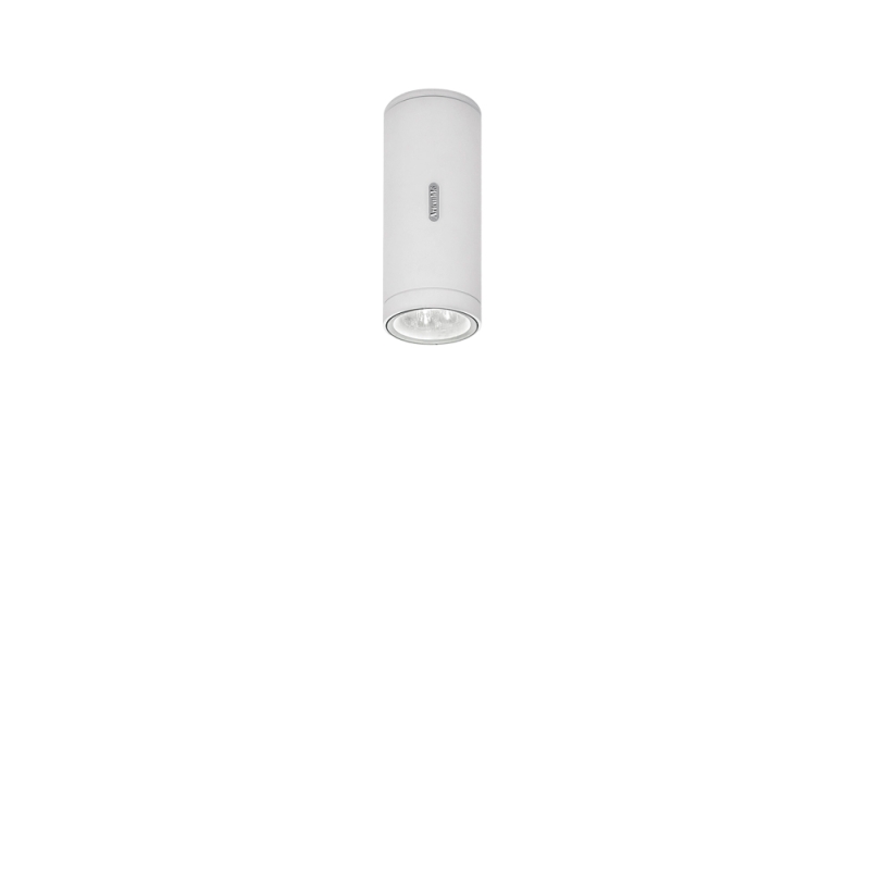Artemide Calumet faretto da soffitto per esterno