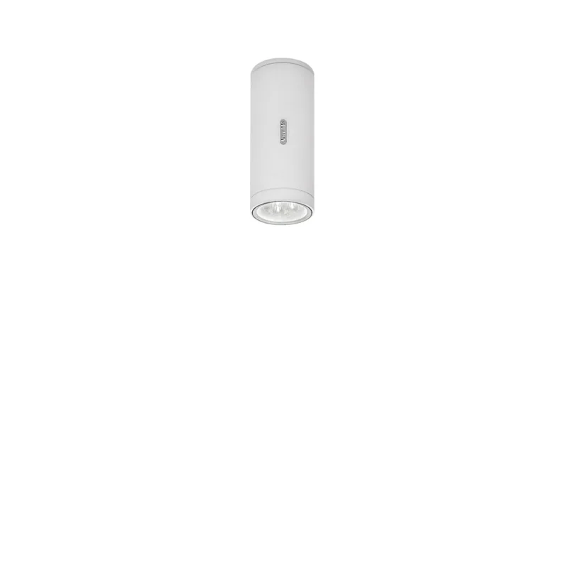 Artemide Calumet faretto da soffitto per esterno Artemide Calumet faretto da soffitto per esterno