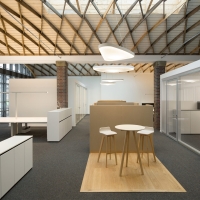 Luceplan Pétale Petal suspension lamp