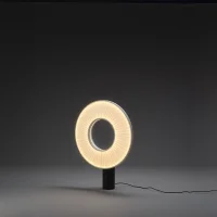 DCW Iris table lamp DCW Iris table lamp
