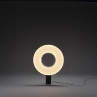 DCW Iris table lamp DCW Iris table lamp