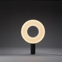 DCW Iris table lamp