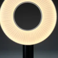 DCW Iris table lamp