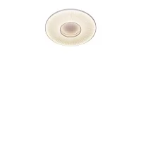DCW Iris lampada da soffitto