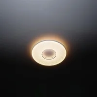 DCW Iris lampada da soffitto