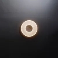 DCW Iris wall lamp