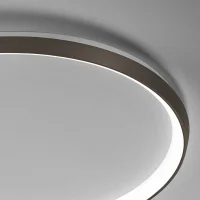 Vivida Lifering O wall or ceiling lamp
