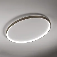 Vivida Lifering O wall or ceiling lamp
