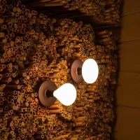 Martinelli Light Bulb for Maggiolino lamp Martinelli Light Bulb for Maggiolino lamp