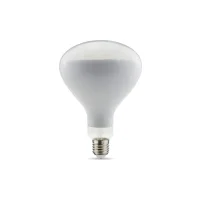 Daylight lampadina led E27 R125 11W dimmerabile
