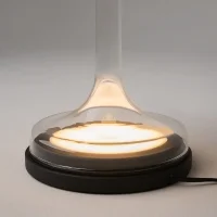 Maytoni Spirito table lamp