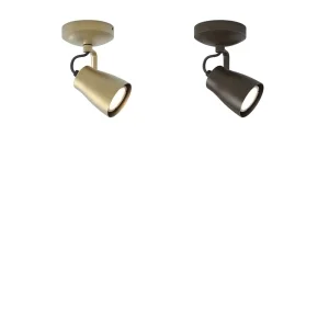 Astro Lighting Juno Single ceiling lamp