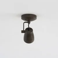 Astro Lighting Juno Single ceiling lamp