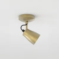 Astro Lighting Juno Single ceiling lamp