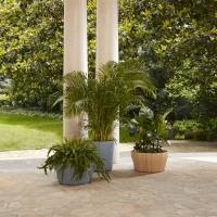 Kartell pot holder Corteza