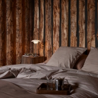 Louis Poulsen PH 2/1 Portable wireless lamp