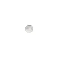Foscarini Hoba lampada da soffitto e da parete