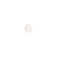 Foscarini Gregg ceiling and wall lamp
