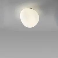 Foscarini Gregg ceiling and wall lamp