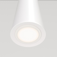 Maytoni Nevill suspension lamp