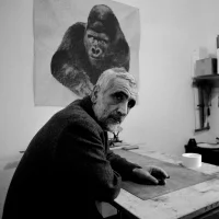 Danese Milano Quindici, il Gorilla silkscreen print