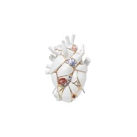 Seletti Love in Bloom Kintsugi porcelain vase Seletti Love in Bloom Kintsugi porcelain vase
