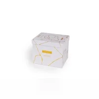 Seletti Kintsugi Skull teschio in porcellana