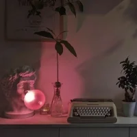 Seletti Wonder lampada a led da tavolo per interno