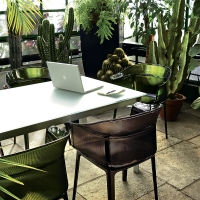 Kartell poltroncina Papyrus