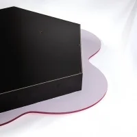 Seletti Supercurve Mirror with lamp