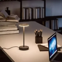 Linea Light Gemini table lamp