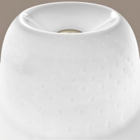 Foscarini Lumiere 30th lampada da tavolo edizione limitata