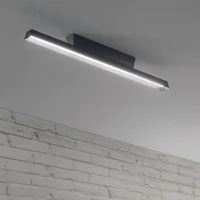 Linea Light Lira SB outdoor ceiling lamp