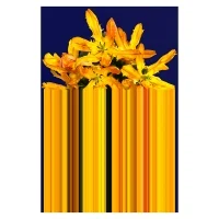 Qeeboo Glitch carpets Qeeboo Glitch carpets