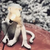 Seletti Monkey lamp Sitting led table lamp