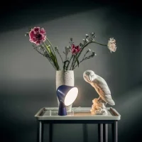 Foscarini Binic led table lamp