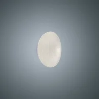 Foscarini Rituals lampada a led da soffitto e parete