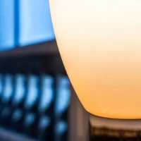 Foscarini Buds led table lamp