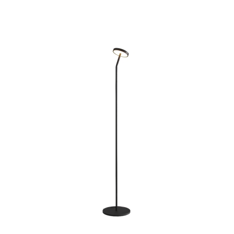 ACB Corvus lampada da terra