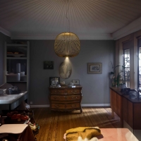 Foscarini Spokes 2 led suspension lamp