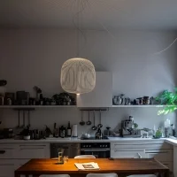 Foscarini Spokes 2 midi led suspension lamp