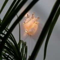 Seletti Heart led wall lamp for indoor