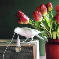 Seletti Bird Playing lampada a led da tavolo